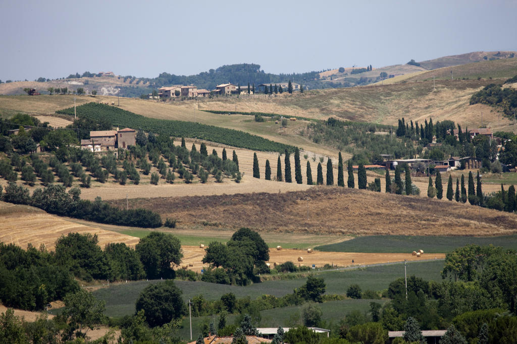 Agriturismo Podere Olivello In Val D'Orcia Montalcino Exterior photo